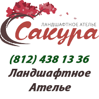 Сакура